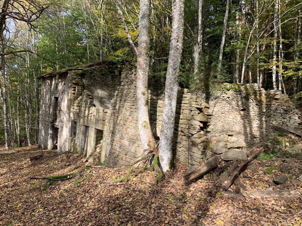 Gite " Oree Des Bois" Vertolaye Eksteriør billede