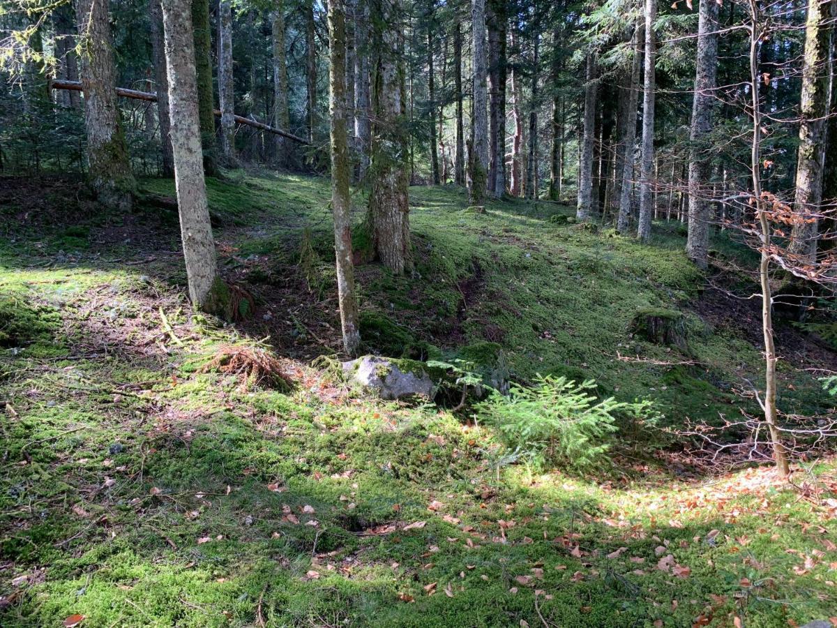 Gite " Oree Des Bois" Vertolaye Eksteriør billede