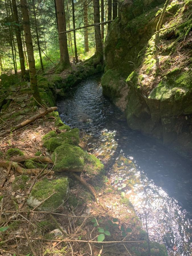Gite " Oree Des Bois" Vertolaye Eksteriør billede