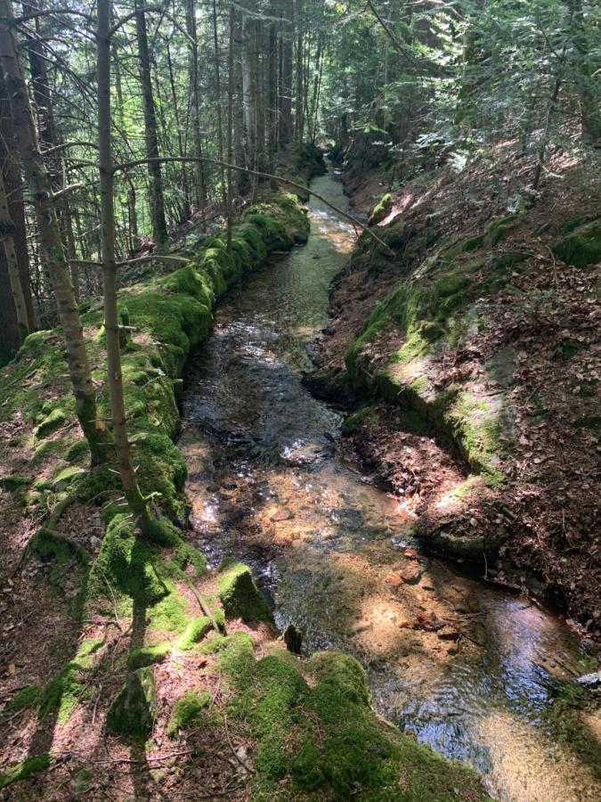 Gite " Oree Des Bois" Vertolaye Eksteriør billede