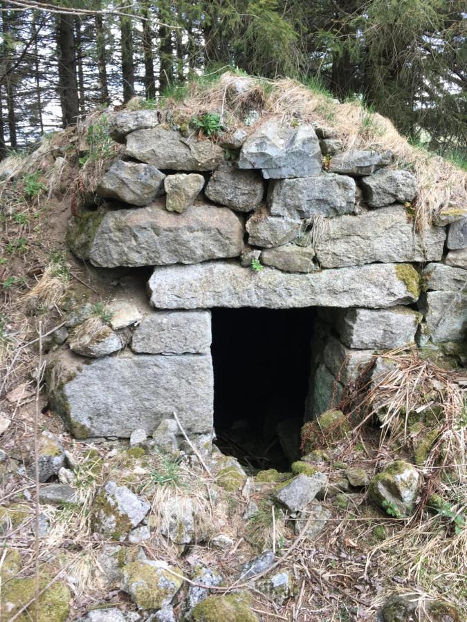 Gite " Oree Des Bois" Vertolaye Eksteriør billede